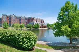 Lakeside view with trees of Brookdale in Creve Coeur